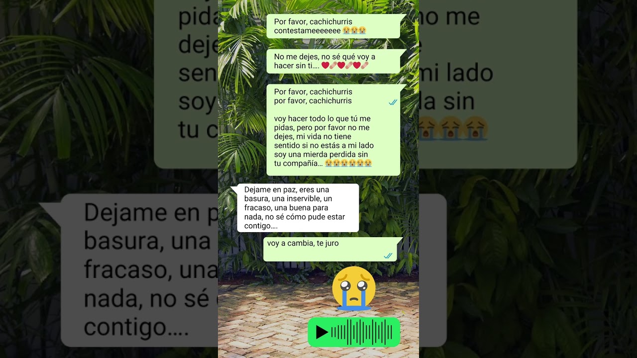 Antonio Junior Ibarra Salas-14