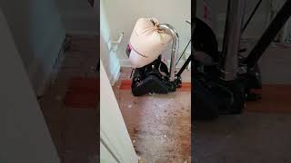 Hardwood floor refinishing video