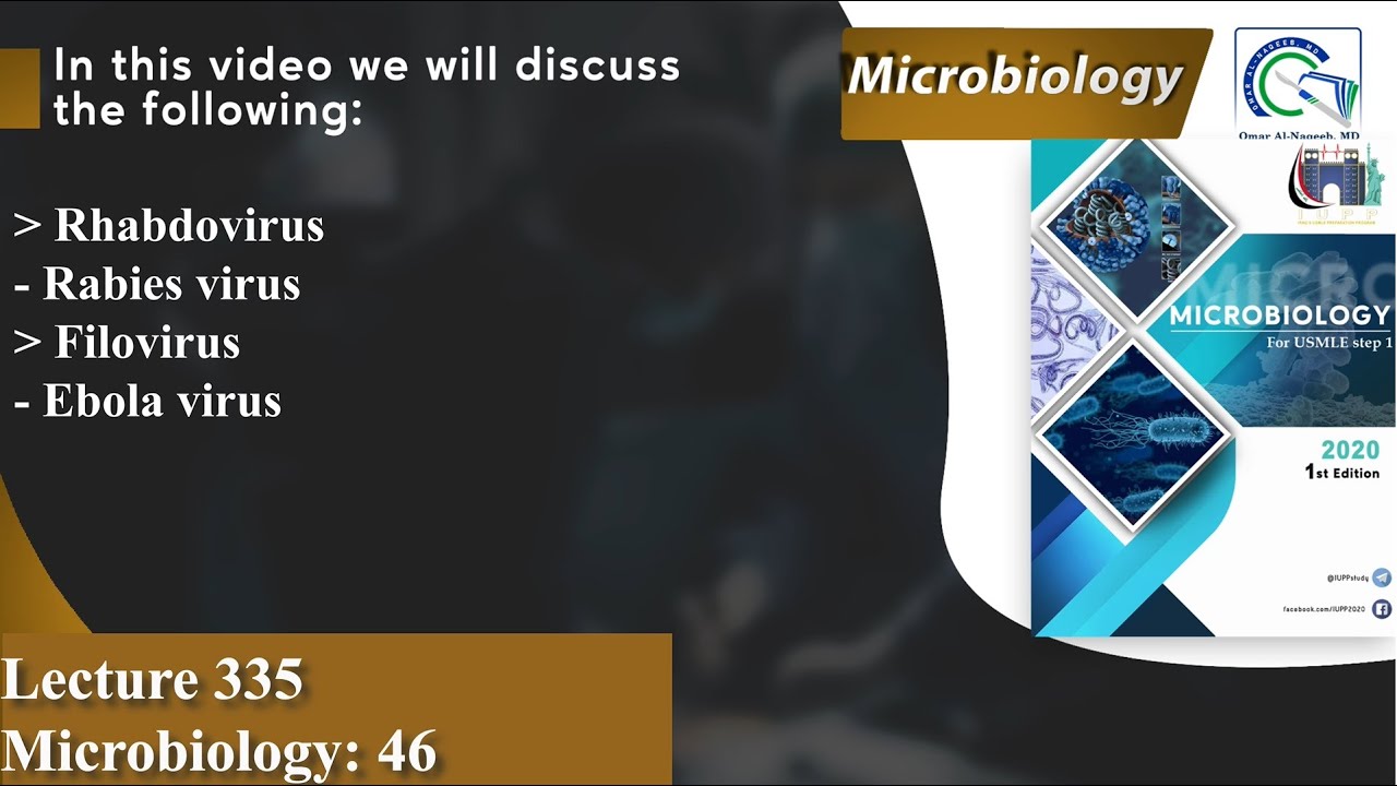 Rhabdovirus | Rabies virus | Filoviruse | Ebola virus