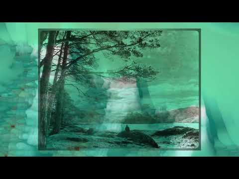 Born Divine by Moshe Halperin feat. Ninawa Pai de Mata Huni