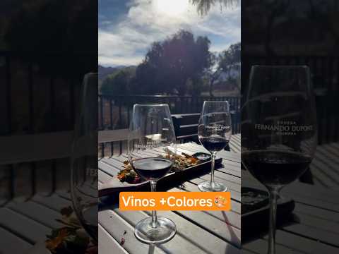 QUÉ HACER en Maimará: Visita a Bodega Dupont 🍇 #turismo