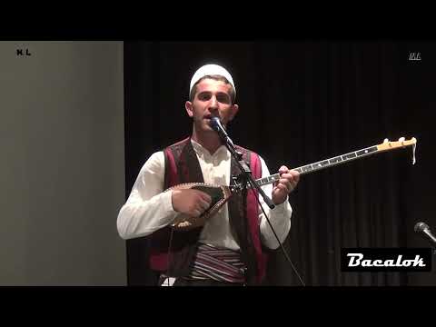 Hidajet Seferi  -  Maja e bjeshkes po e shkrin boren