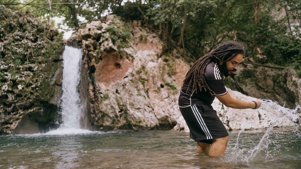 Iotosh: Cruising Through Evolution with "What's the Pree"