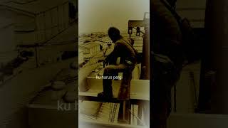 Download lagu bungaku - Boomerang #boomerang #kisah #kehadiranmu #storytime mp3