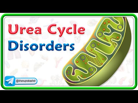 Urea Cycle Disorders Animation : USMLE Step 1