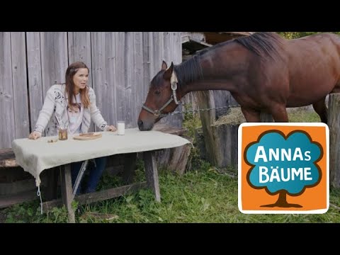 Hasel | Annas Bäume | Reportage für Kinder |