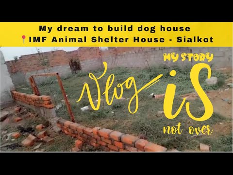 Sumbal Chughtai Vlog  - Dog house build