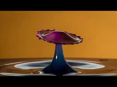 Justin Marchacos, Apir - Quest for the Crown [KATERMUKKE]