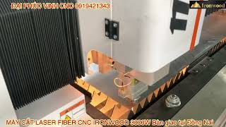 Máy cắt Laser sợi Quang 3000W| máy Laser fiber cnc cắt tấm