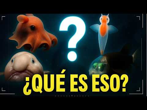TOP 5 ANIMALES MÁS RAROS DEL OCÉANO | Criaturas marinas (PARTE 3) #curiosidades #misteriosdelocéano