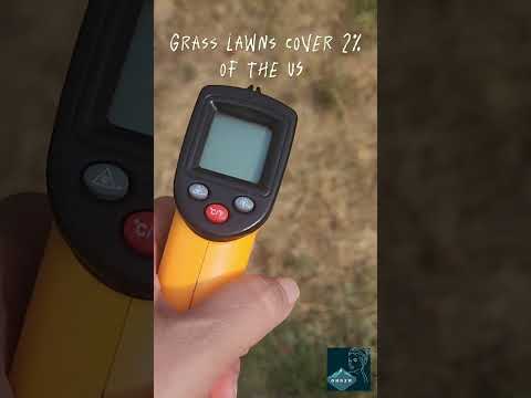 Denisa's EcoTips July '24