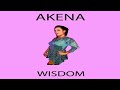 Akena Wisdom 2018