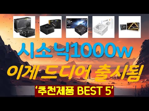 시소닉1000w 추천, 파격특가 할인정보 가성비 TOP5