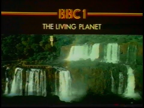 Thursday 1st March 1984 - BBC1 - Living Planet - Wildlife - Dear Ladies - Diana - News - Rare
