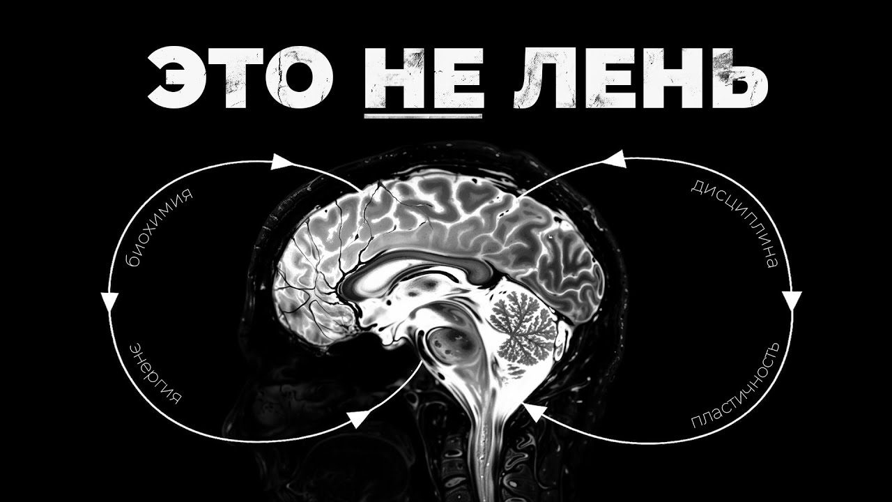 Как заставить мозг ХОТЕТЬ трудностей