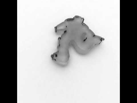 陛下EEN FROKKA OTT  DREAM-BONZER [taconiel]