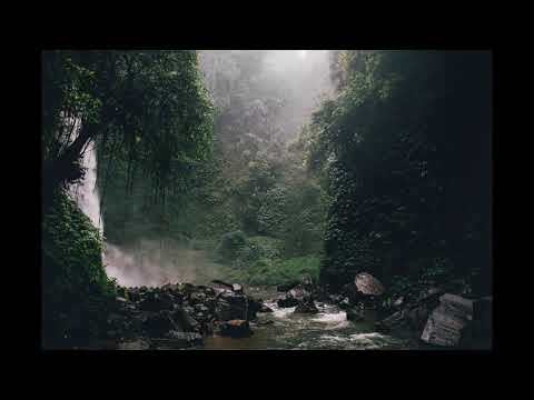 African Jungle Sounds