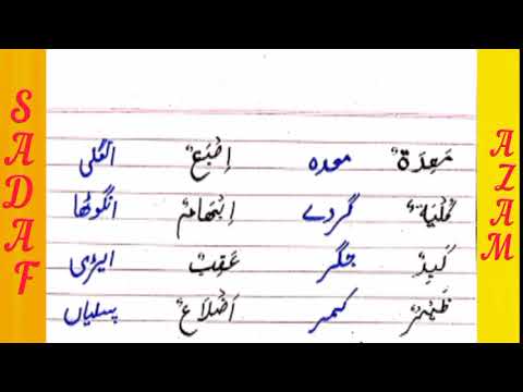 Names of parts of body Arabic to Urdu #Lesson no.6