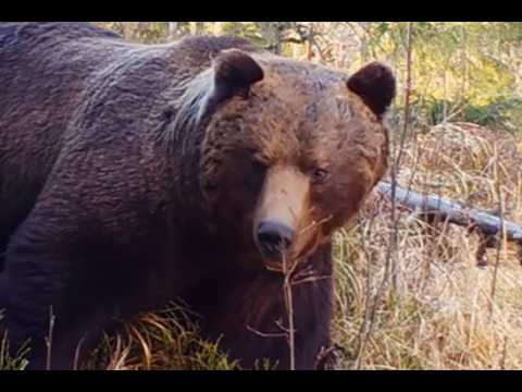 Ernest Cohoe la prima vittima del mostro di Whiskey Creek