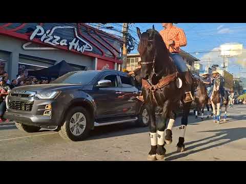 MIRE USTED ESTA HERMOSURA DE CABALLOS DESDE PROGRESO YORO HONDURAS  SALUDOS 