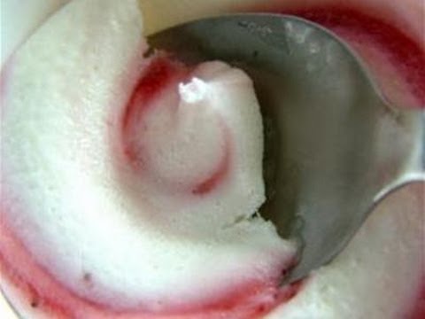 How To Make Your Own Dog Ice Cream