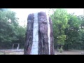The real Witch Forest Ukraine