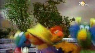 Sesamstraat - Ernie - De huisje-boompje-beestje-horlepiep