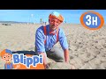 Super Sunny Beach Day BLIPPI Kids TV Shows Cartoons For Kids Fun Anime Popular Video