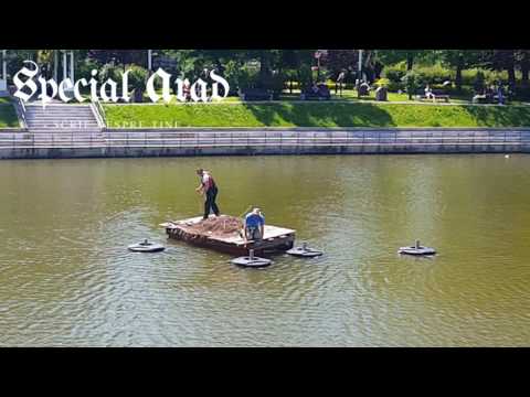 Operatiune de salvare boboci de rata