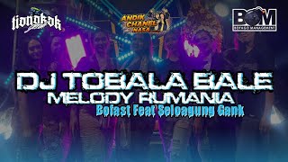 Download lagu DJ PARTY KARNAVAL TOBALABALE MELODY RUMANIA mp3