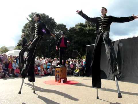 Sprung stilt creatures from the Isle of Mogo
