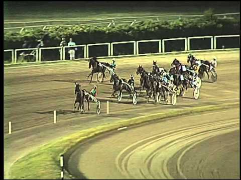 Trotto 21/06/2015 - 4° corsa  Città di Napoli Filly