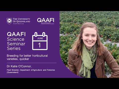 Breeding for better horticultural varieties, quicker