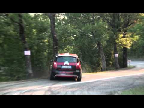 Crash Enrico Ottaviani al Rally Rose'n Bowl 2011