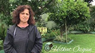 50 YIL 50 ÖYKÜ - Avustralya'ya Göçün 50. Yılı