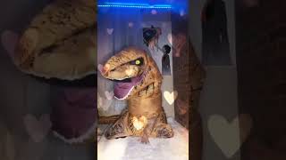 トゥインクル·チャレンジ10? #shorts #エロ#tiktok