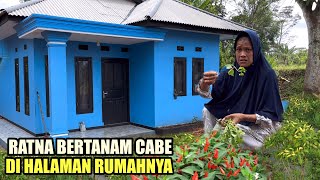 Download lagu MASYA ALLAH !! RATNA BAHAGIA DI AJAK MENANAM CABE DI HALAMAN RUMAH BARUNYA mp3