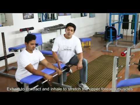 Palms Down Barbell Wrist Curl Over A Bench, Tutorials by Rao&#39;s Health Club