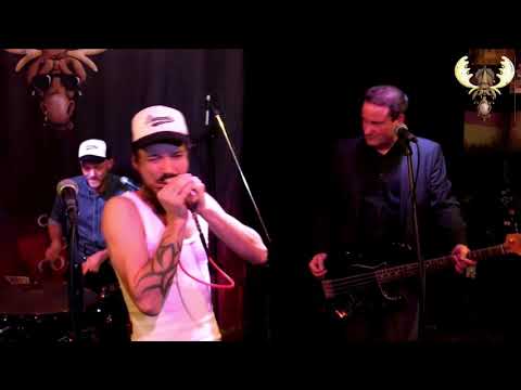 The Dynamite Blues band - Too Busy - Live at Bluesmoose Radio