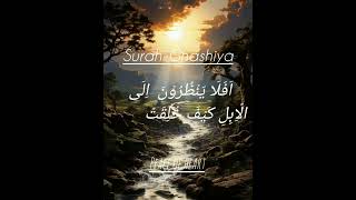 Download lagu Beautiful Quran Recitation I Surah Al-Ghashiyah (88:10-20) #quran #shorts #surahalghashiyah mp3 Download lagu Beautiful Quran Recitation I Surah Al-Ghashiyah (88:10-20) #quran #shorts #surahalghashiyah mp3