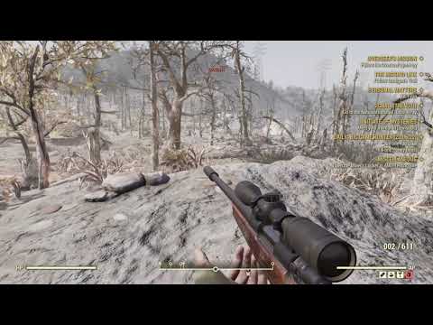 Honey Beast Fallout 76