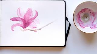 How to Paint Transparent Magnolia Flower in Watercolor