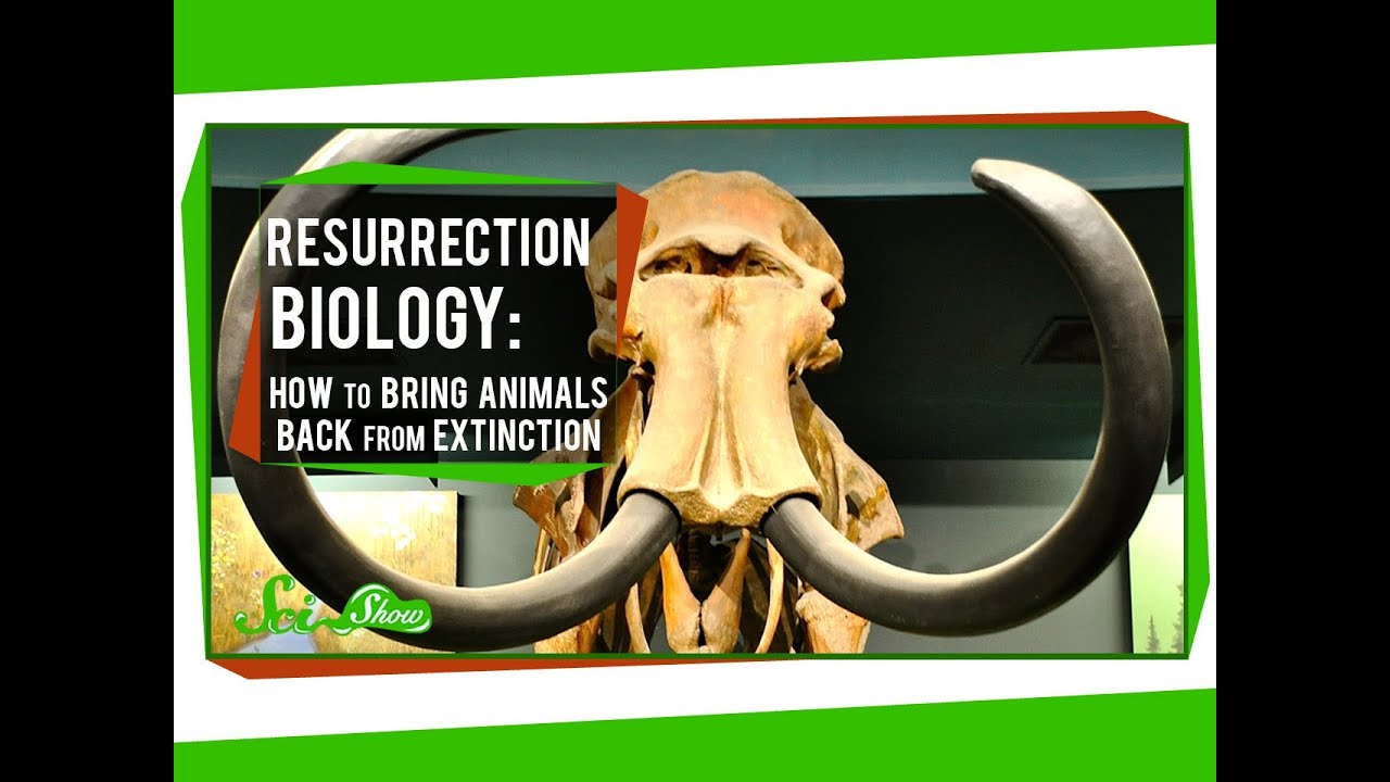 Resurrection Biology: How to Bring Animals Back From Extinction