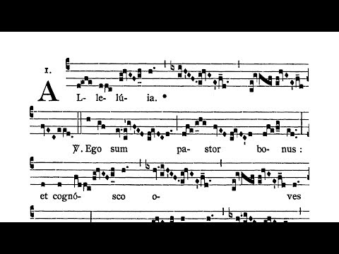 Dominica secunda post Pascha (Second Sunday after Easter) - Alleluia secunda (Ego sum pastor bonus)