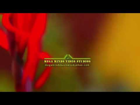 Trending Song* MWEBANTENTEMUKA - Bashi EMA (Official video) ZAMBIAN GOSPEL MUSIC VIDEOs