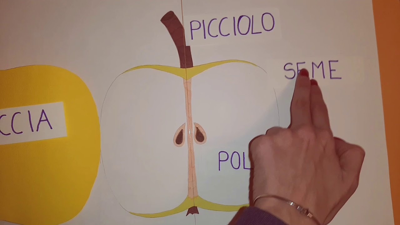 Watch Now Il frutto. Il frutto.