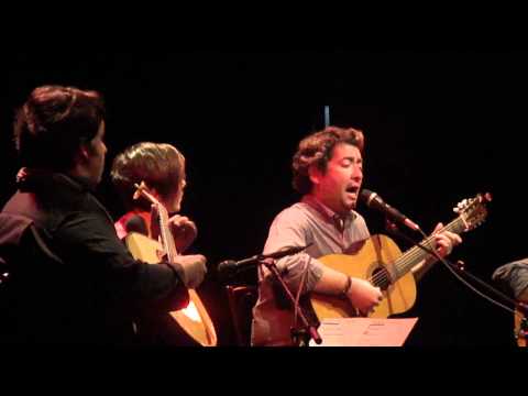 Carlos Leitao sings Loucura (live from Vienna)