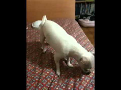 michelaaaa__’s Video 138877479653 y-1dq-cUdU4