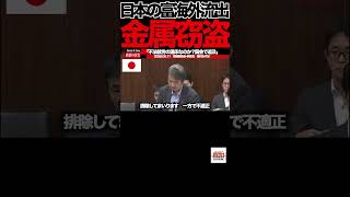【梅村みずほ】③「盗まれた日本の財産はどこへ消える？」不法ヤード問題の闇#梅村みずほ#参政党#国会中継#環境委員会#スクラップヤード#金属盗難