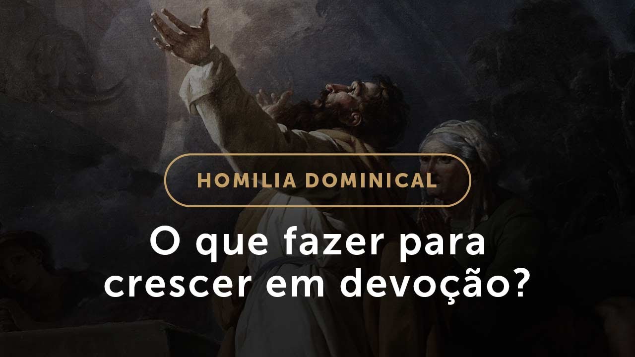 Como crescer em devoção? (Homilia Dominical.531: 33.º Domingo do Tempo Comum)
